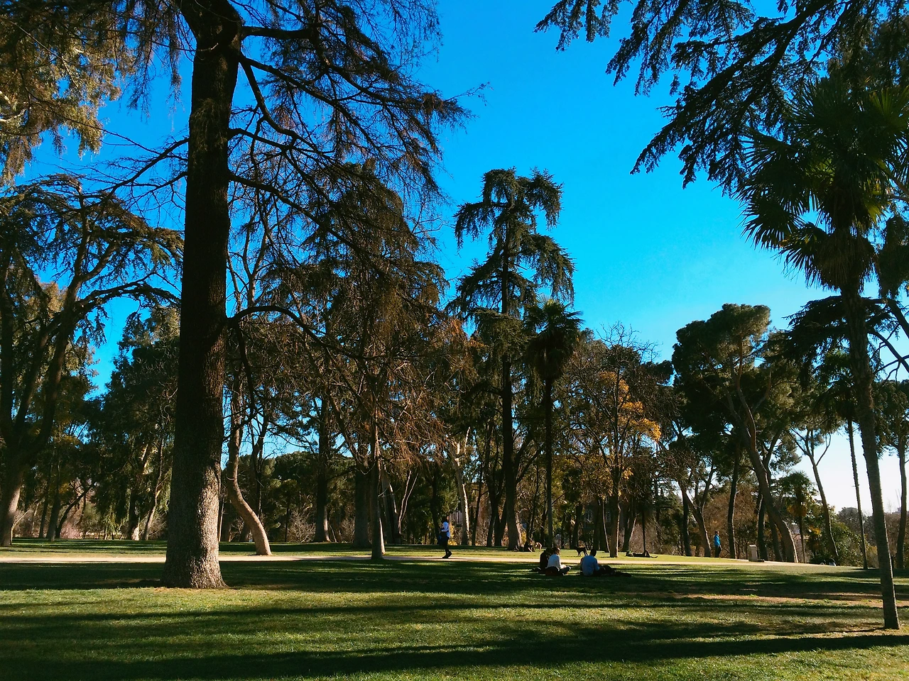 1603 2016-03-12 007.JPG