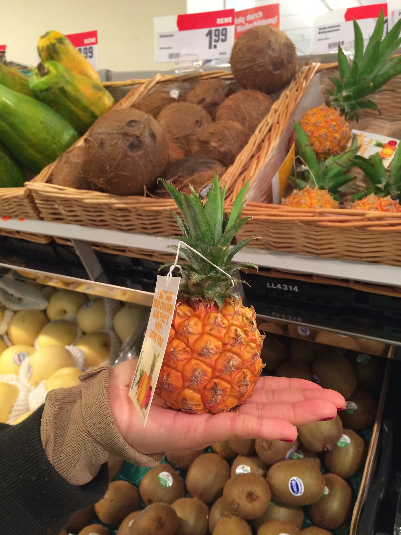 20160204 Heidelberg 2016-02-04 012.JPG