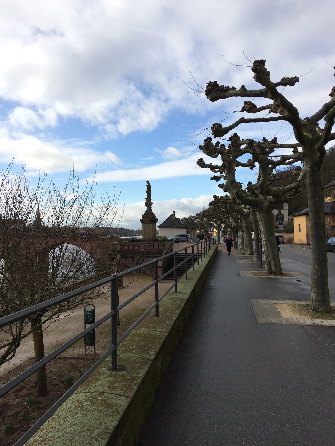 20160130~0204 2016-02-03 021.JPG