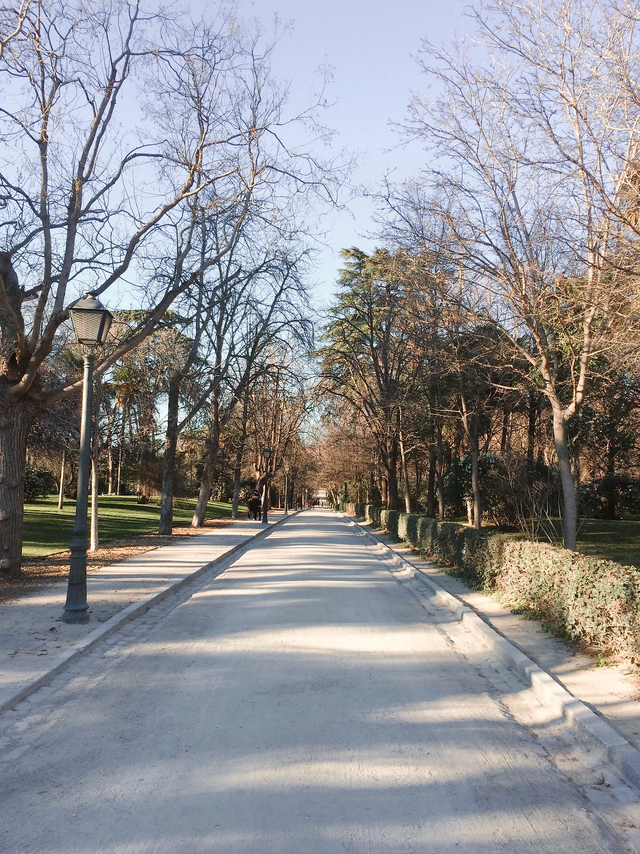 1603 2016-03-12 009.JPG