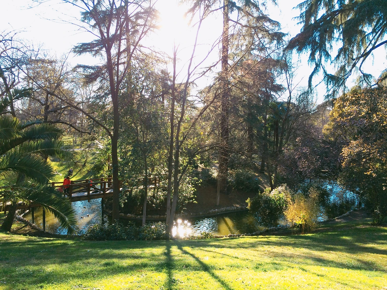 1603 2016-03-12 012.JPG