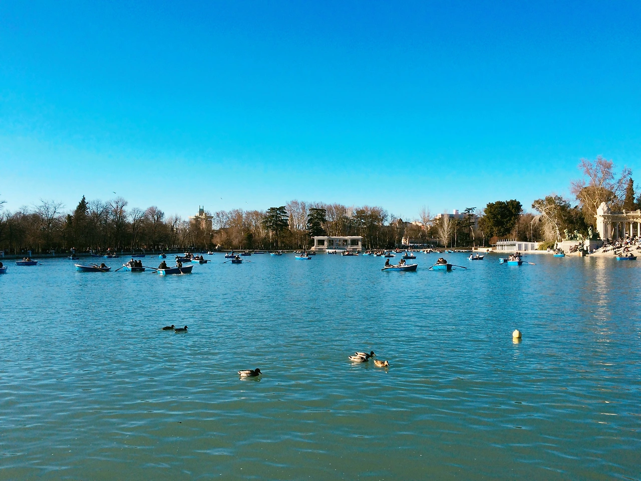 1603 2016-03-12 018.JPG