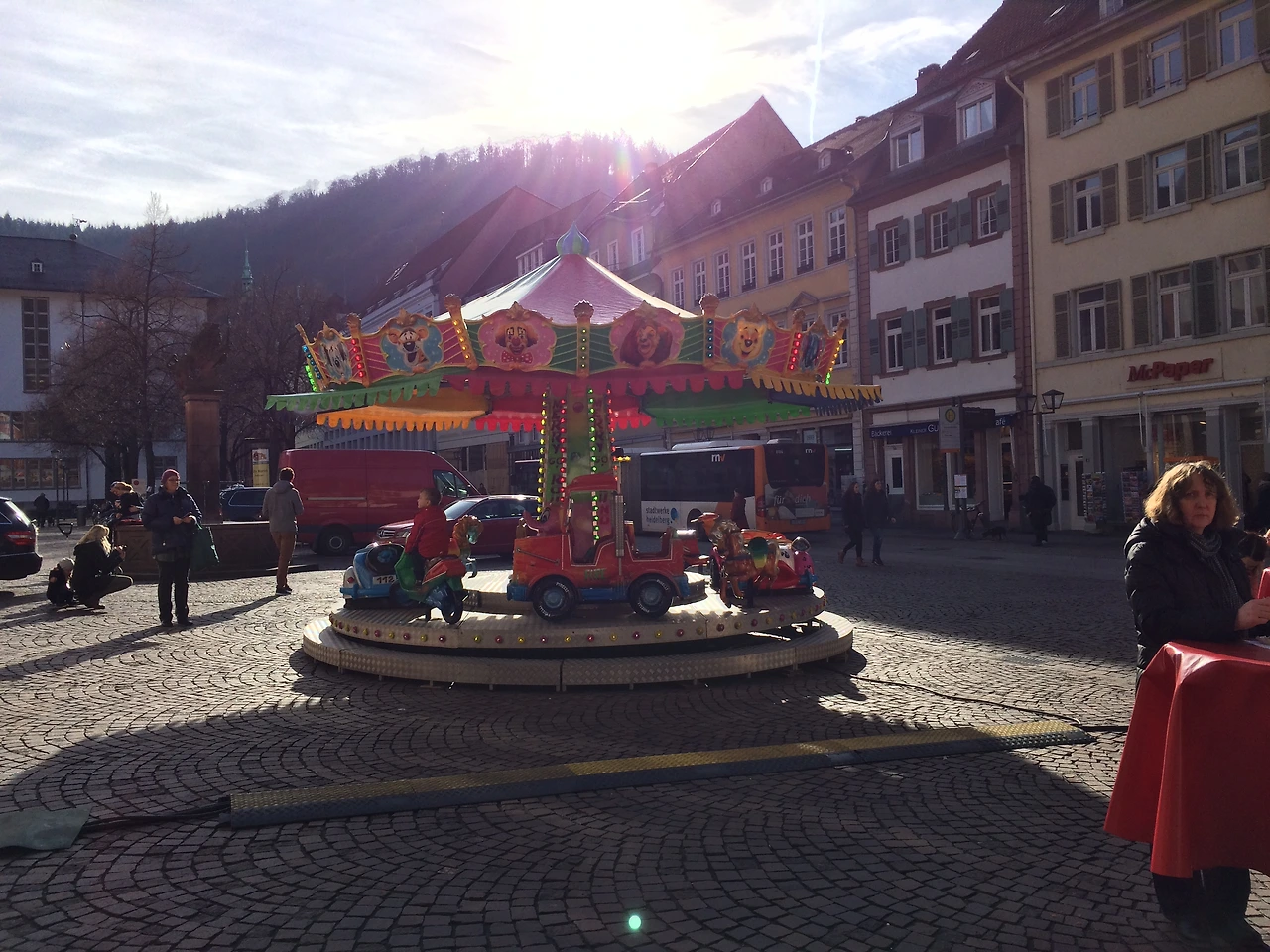 160206 Heidelberg 2016-02-06 017.JPG