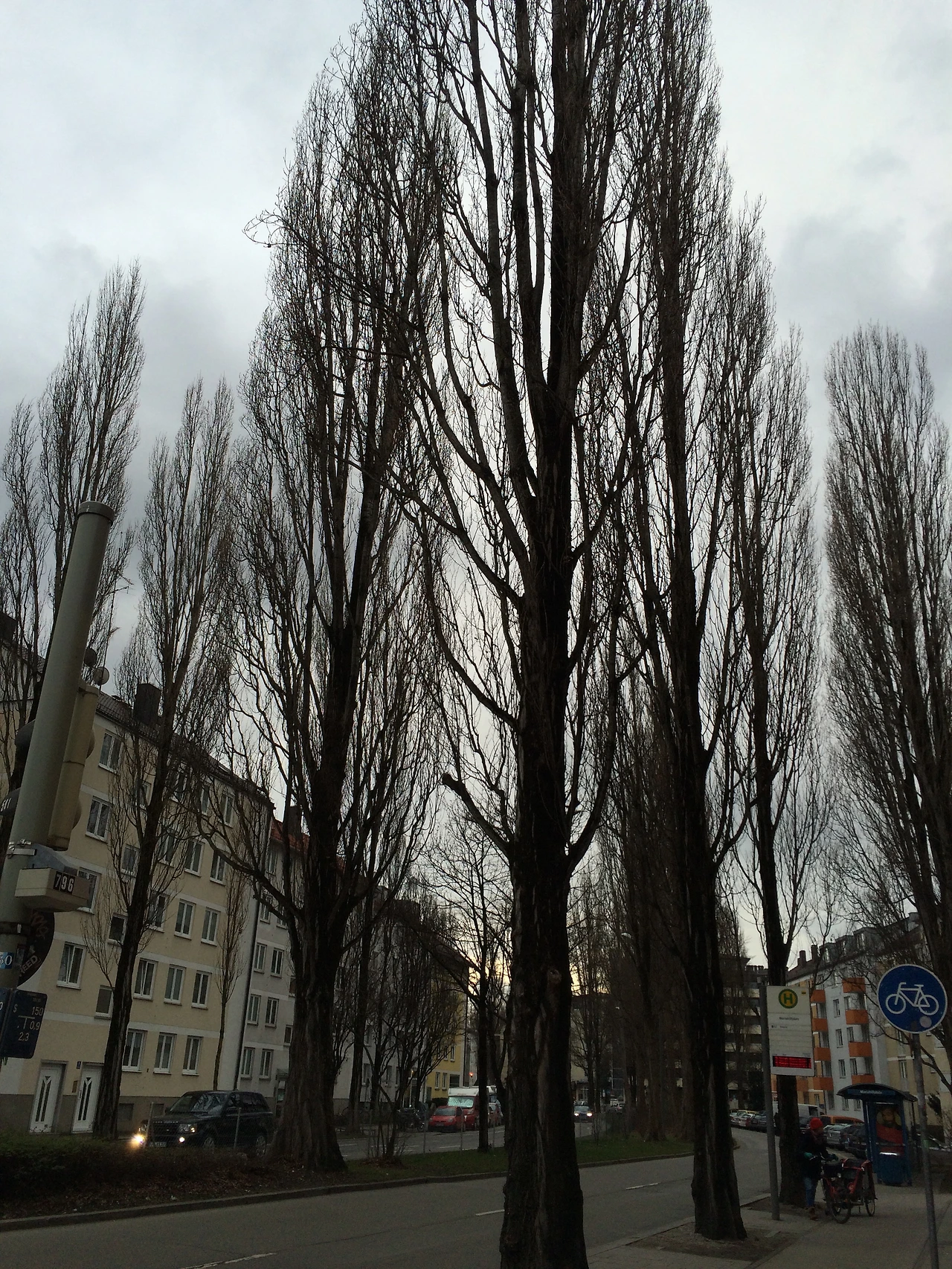 160220 Munich German Culture 2016-02-19 012.JPG