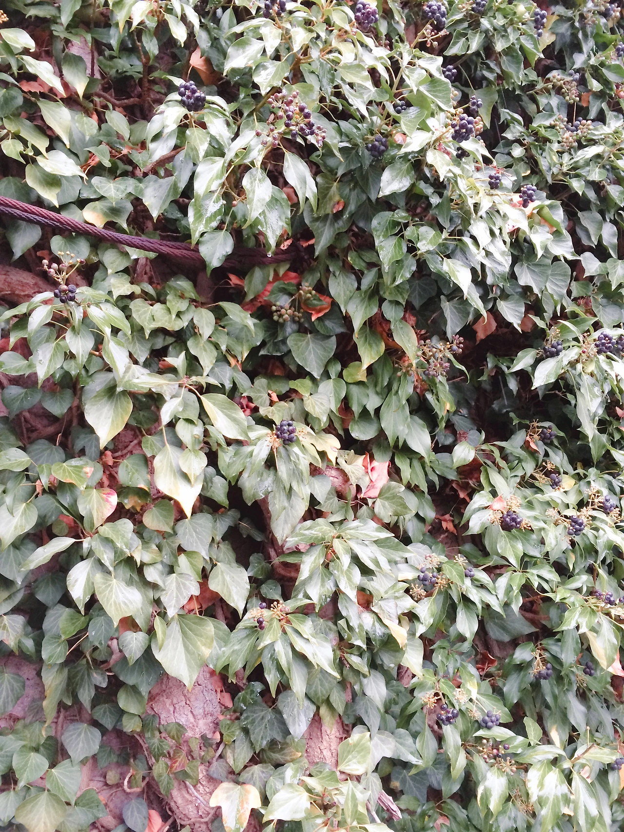 160223 Nurnberg short trips 2016-02-23 078.JPG