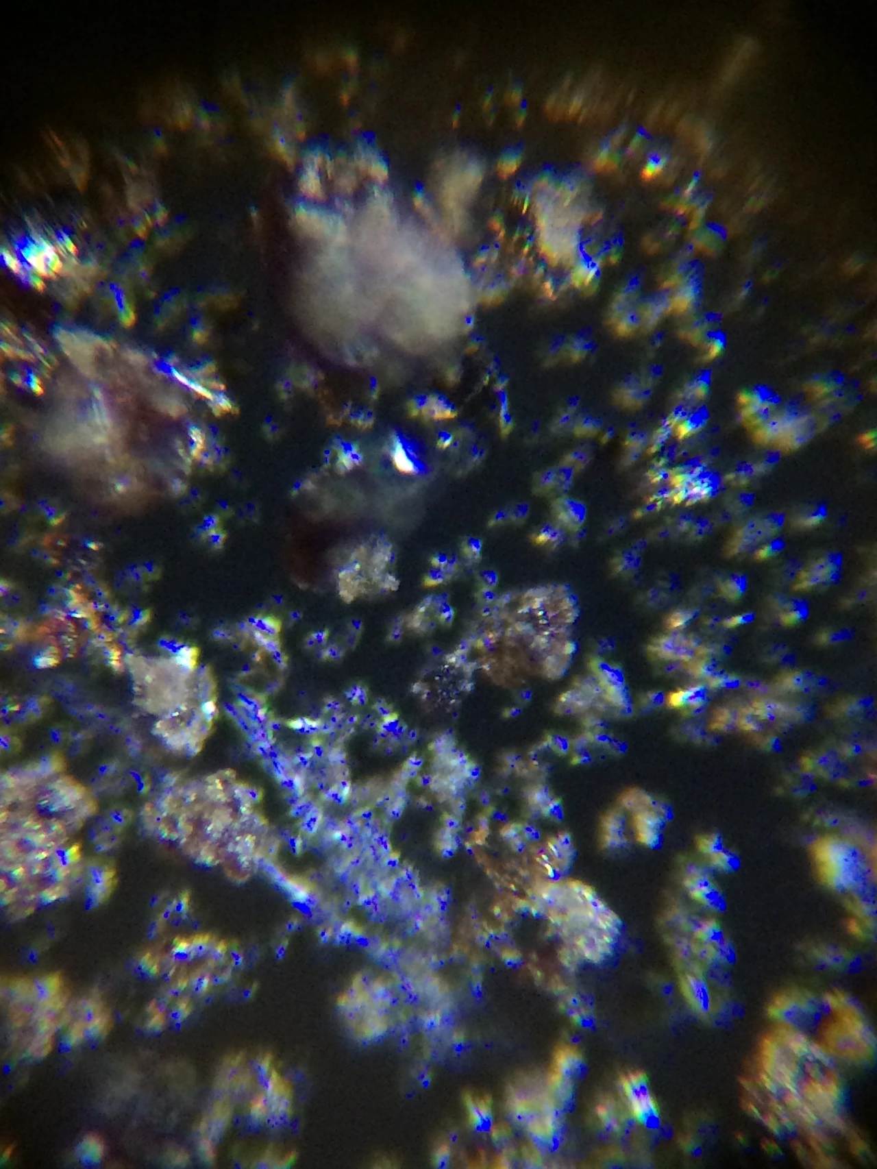 160212 Tubingen 2016-02-12 038.JPG