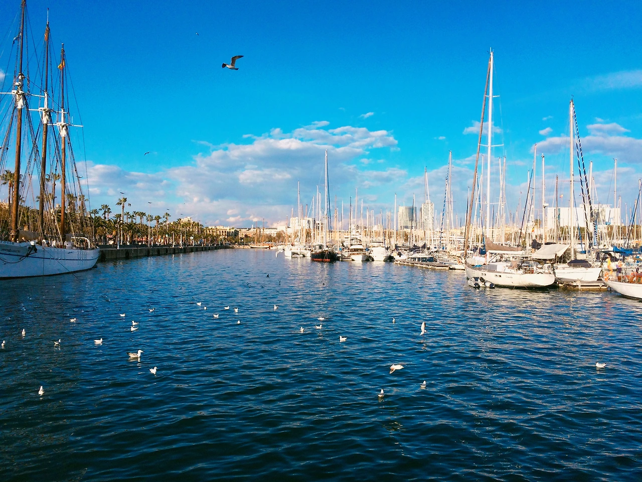 160306 Barcelona 2016-03-06 048.JPG