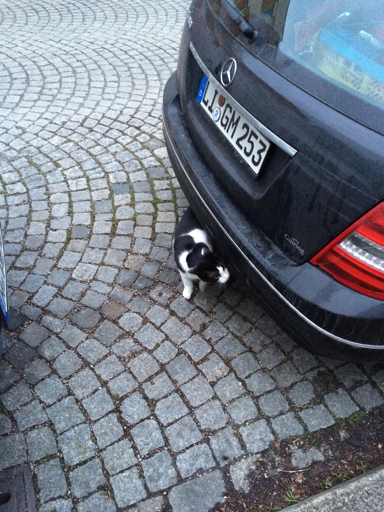 160217 Munich all day at home 2016-02-17 012.JPG