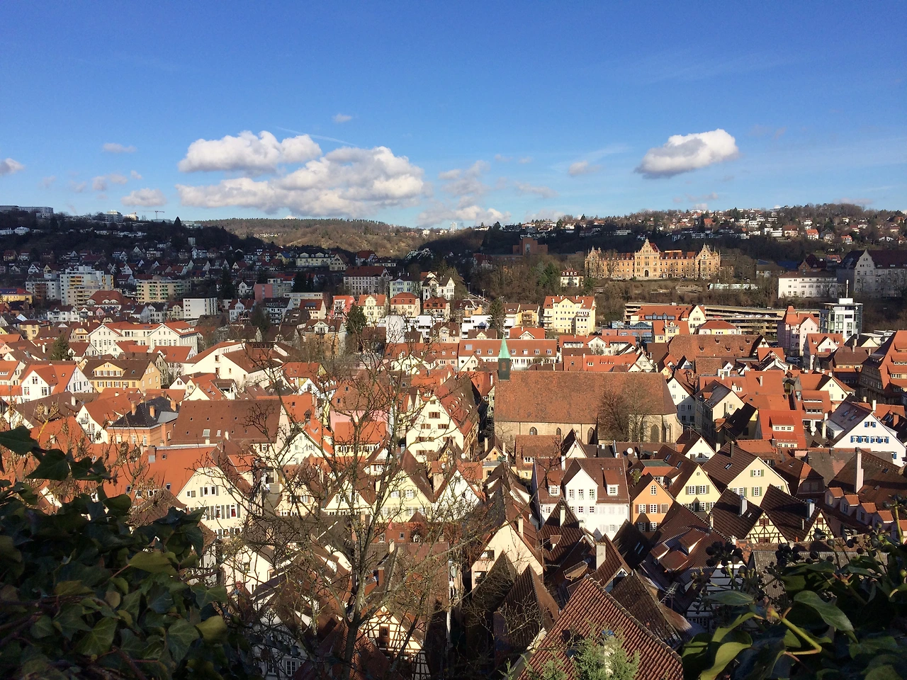 160212 Tubingen 2016-02-12 050.JPG