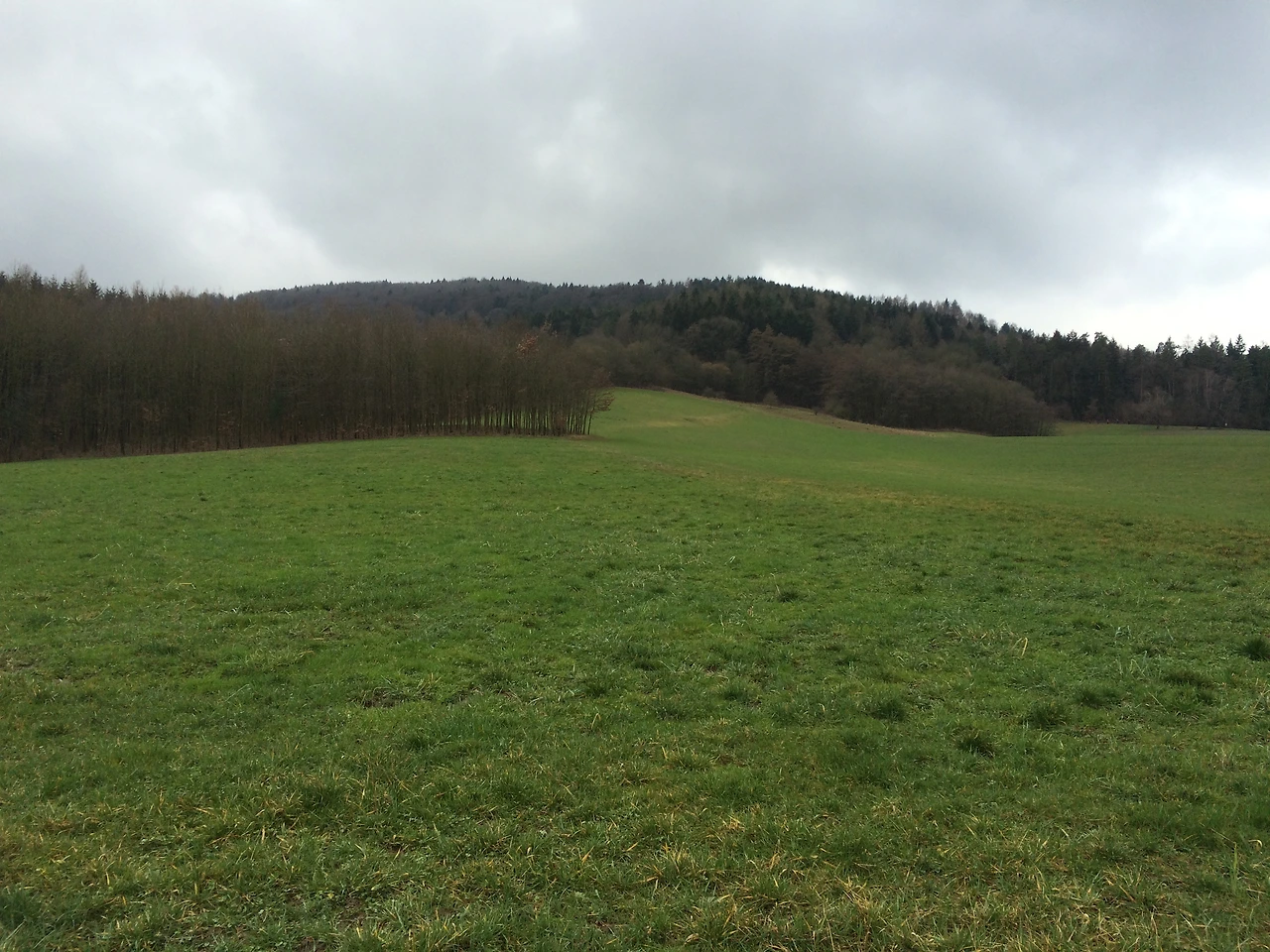 160224-2 Nurnberg rural side 2016-02-24 009.JPG