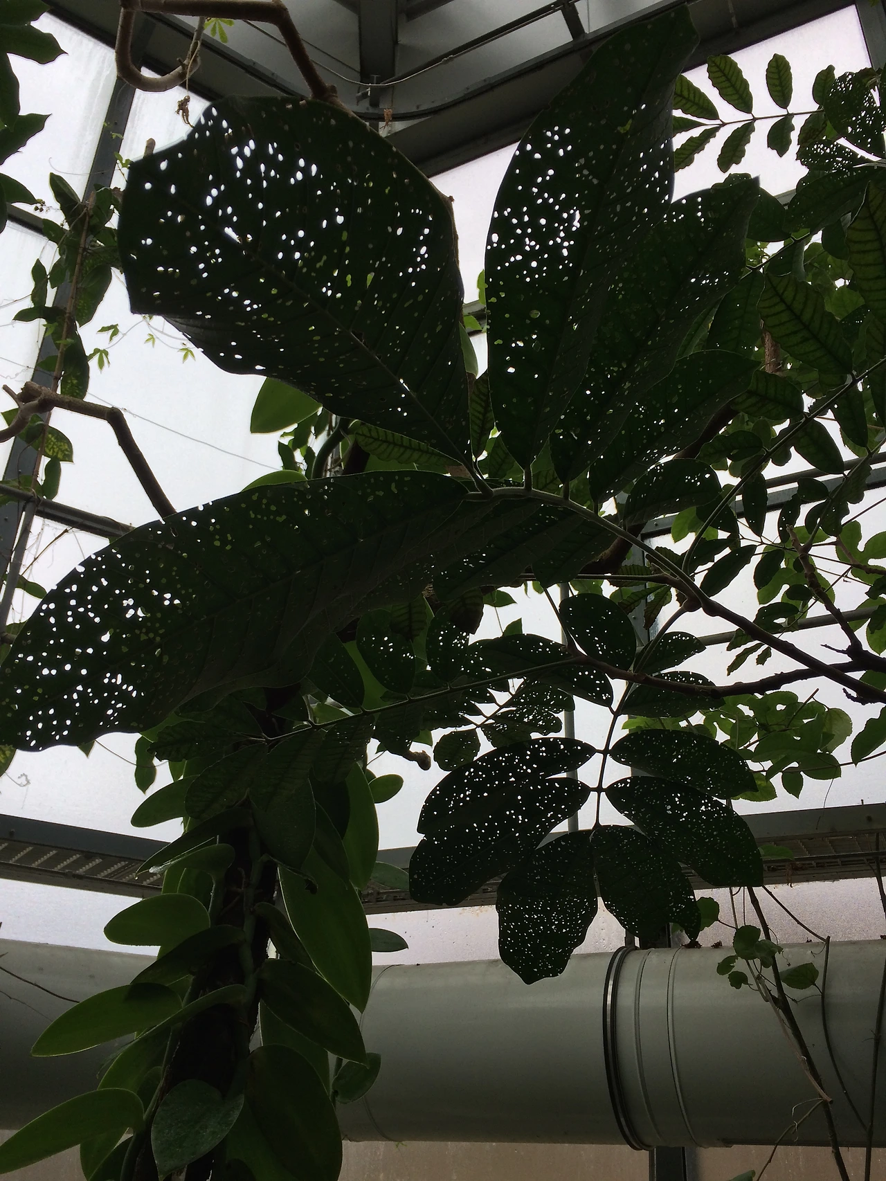 2016-02-13 001 2016-02-13 018.JPG