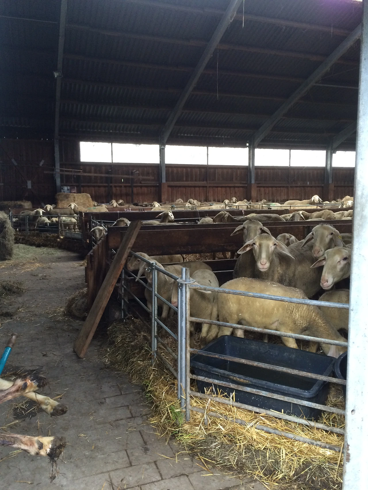 160224-2 Nurnberg rural side 2016-02-24 010.JPG