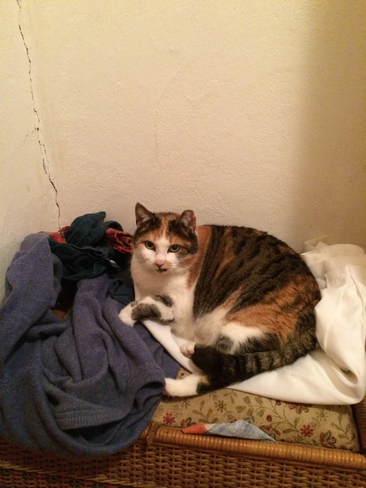 160222 Nurnberg city 2016-02-22 033.JPG