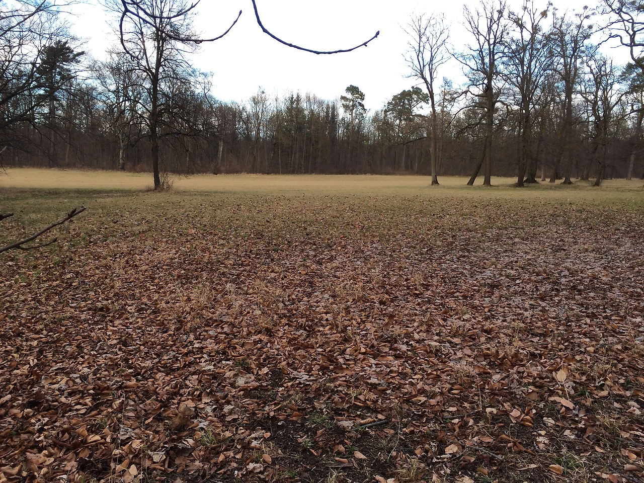 160221 Munich 2016-02-21 035.JPG