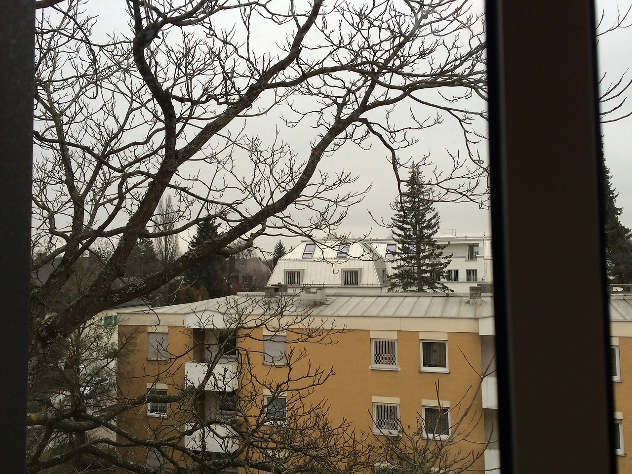 160217 Munich all day at home 2016-02-17 005.JPG