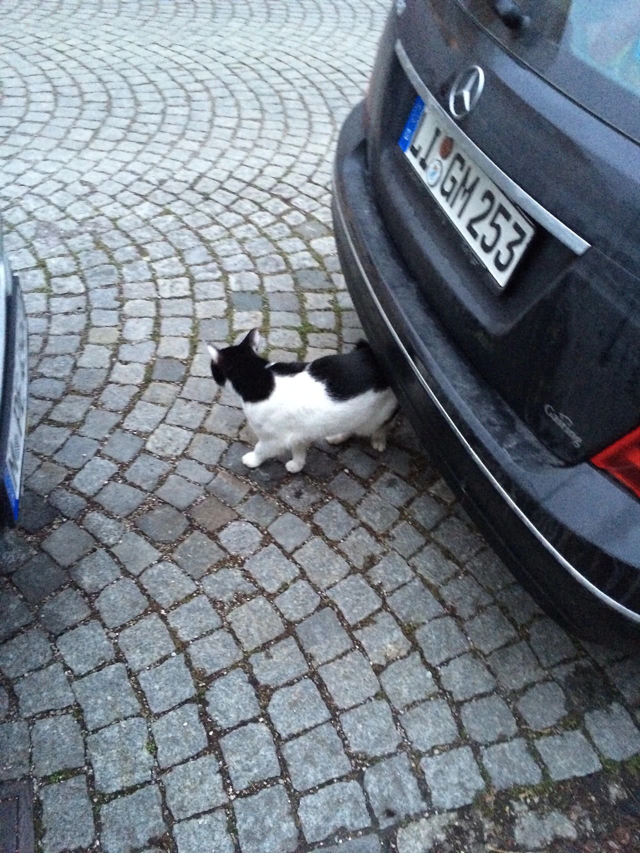 160217 Munich all day at home 2016-02-17 013.JPG