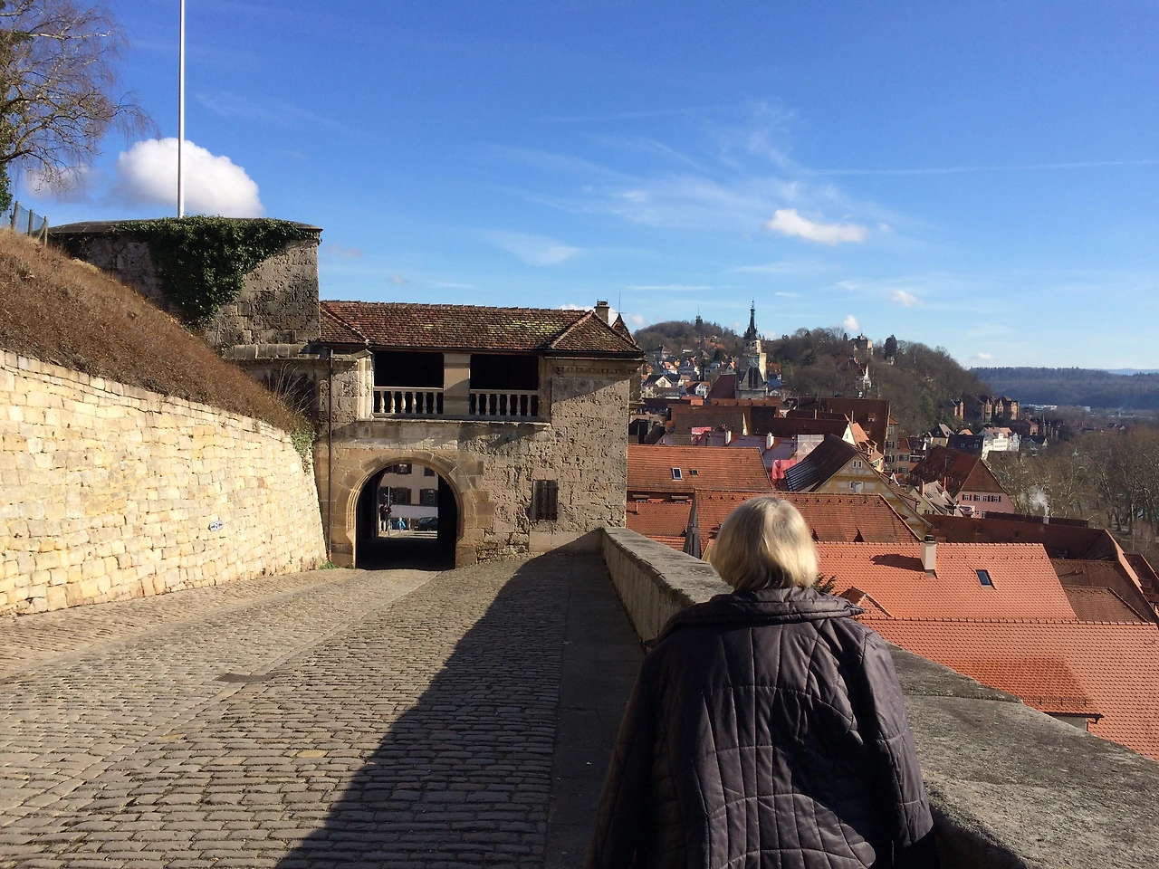 160212 Tubingen 2016-02-12 051.JPG