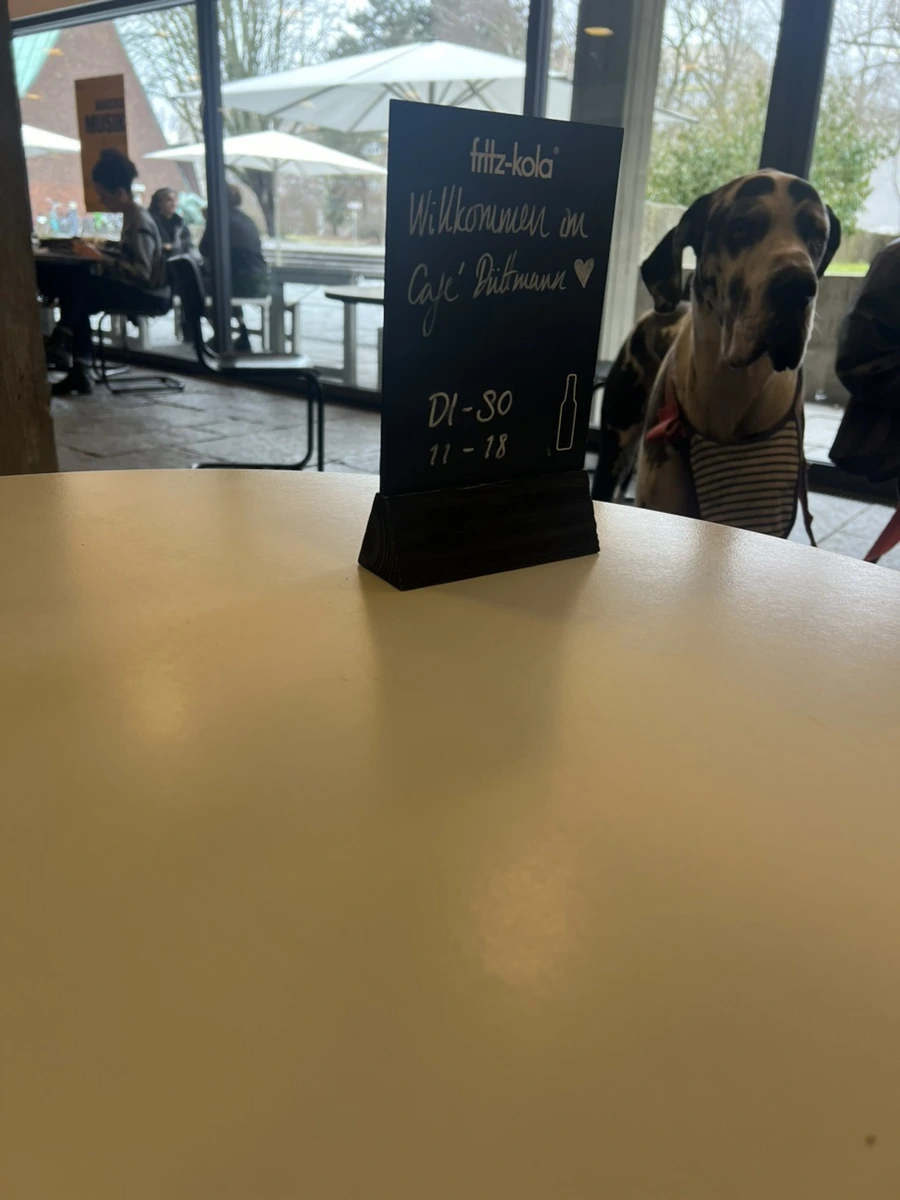 IMG%EF%BC%BF8200.jpg?type=w1