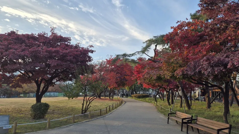 20251116_080107_(1).jpg?type=w1