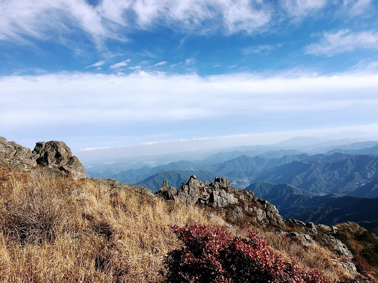 KakaoTalk_Photo_2026-02-10-17-50-18 001.jpeg