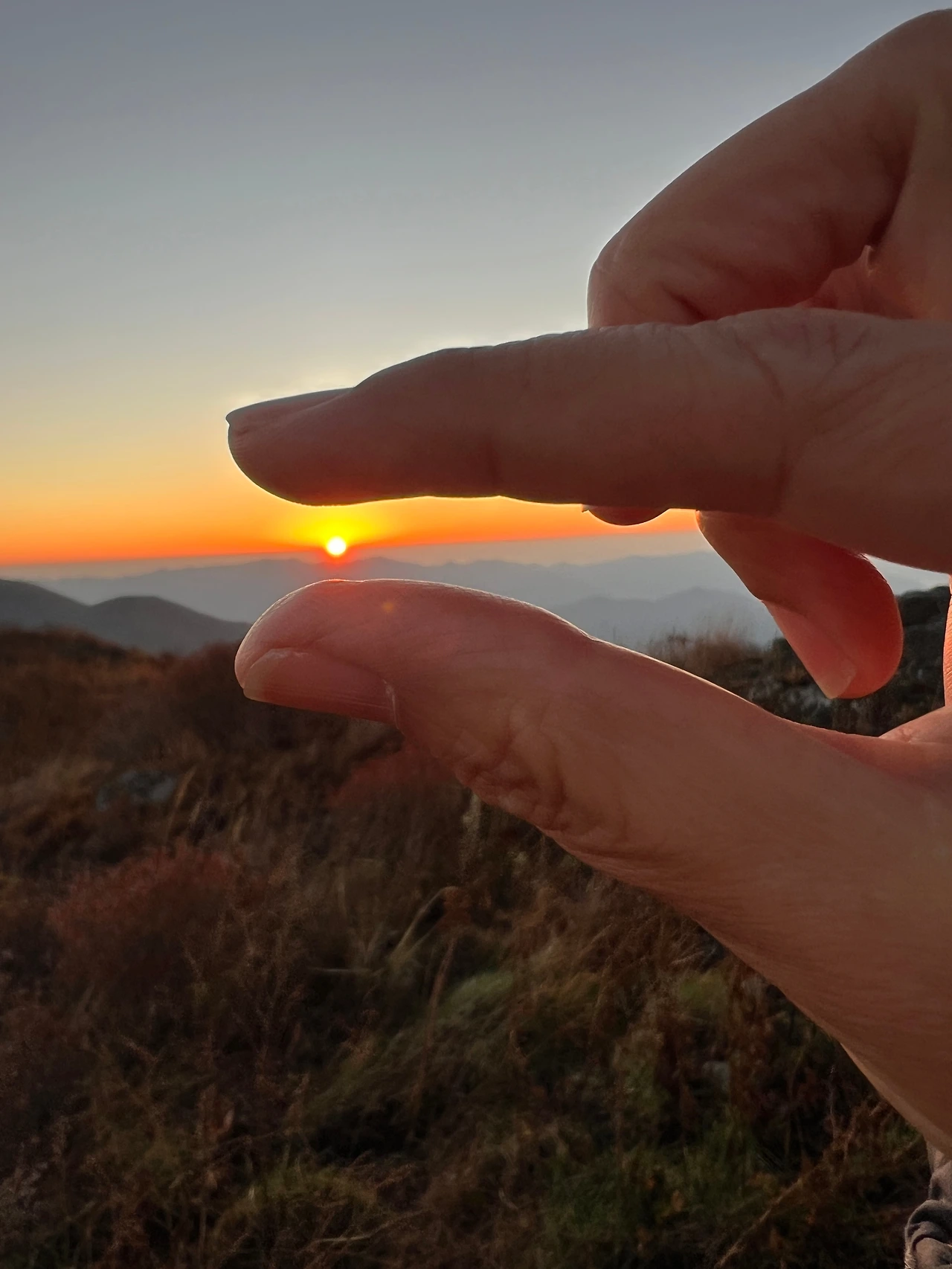 KakaoTalk_Photo_2026-02-10-17-50-45 003.jpeg