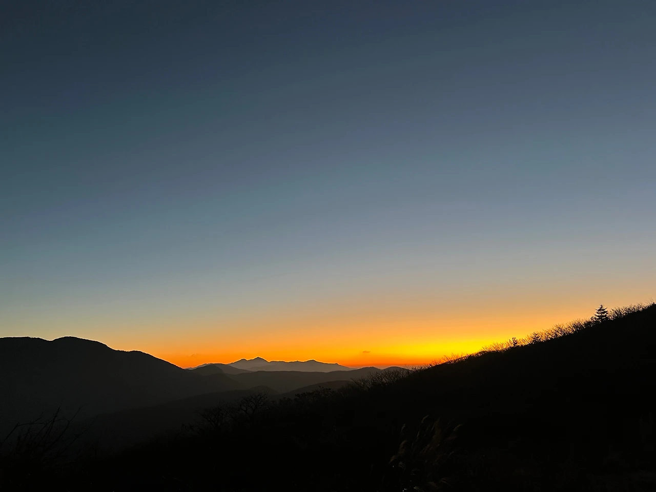 KakaoTalk_Photo_2026-02-10-17-50-44 002.jpeg