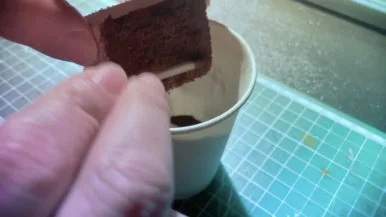 IMG%EF%BC%BF6399.jpg?type=w386