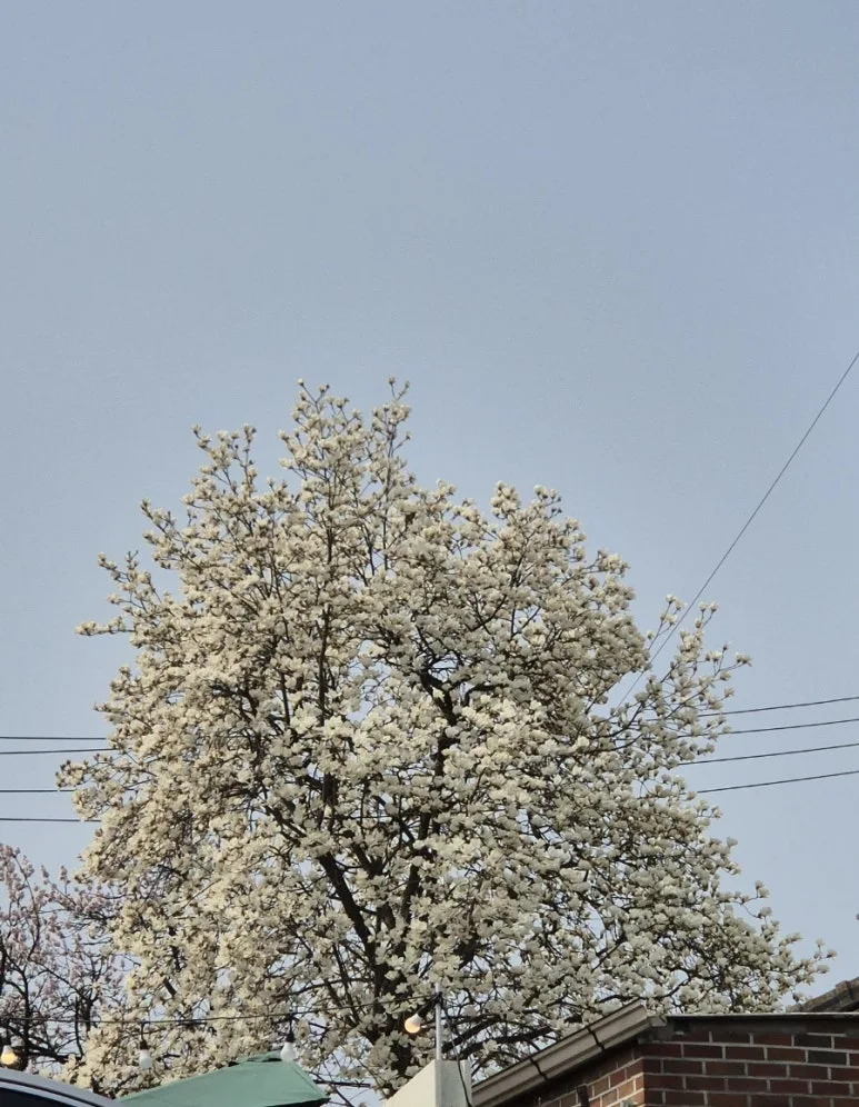 900%EF%BC%BF1774758133410.jpg?type=w773