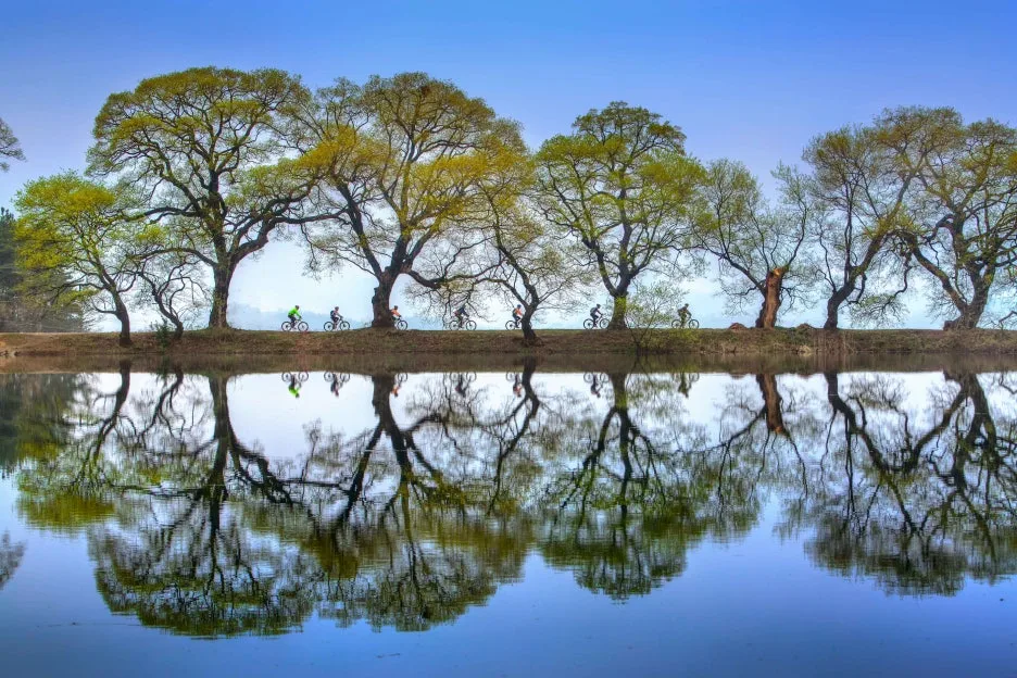 2-2_Type1_%EB%B0%98%EA%B3%A1%EC%A7%80%EC%9D%98_%EB%B4%84%ED%92%8D%EA%B2%BD_%EC%9D%B4%EC%84%B1%ED%99%98_CNmpIa.jpg?type=w1