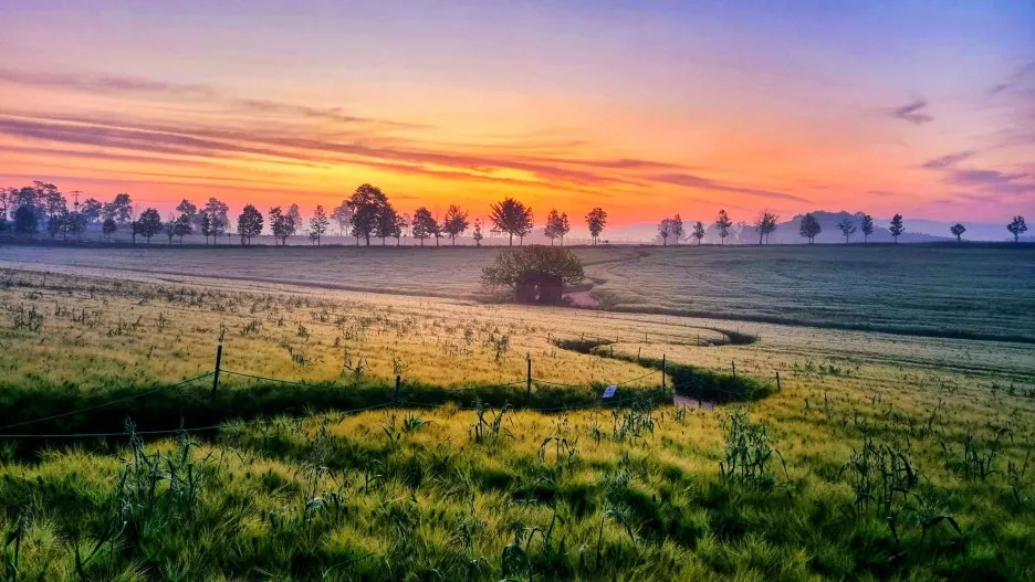 3-4_Type1_%EC%B2%AD%EB%B3%B4%EB%A6%AC%EB%B0%AD_%EC%97%AC%EB%AA%85_%EC%9C%A4%EC%A2%85%EA%B5%AC_PSfzKS.jpg?type=w1