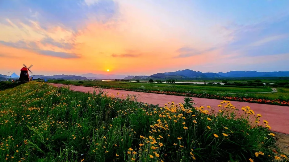 5-1_Type1_%EB%9A%9D%EB%B0%A9%EA%B8%B8%EC%9D%98_%EB%85%B8%EC%9D%84_%EC%98%A4%EC%84%B8%EA%B7%BC_PObADa.jpg?type=w1