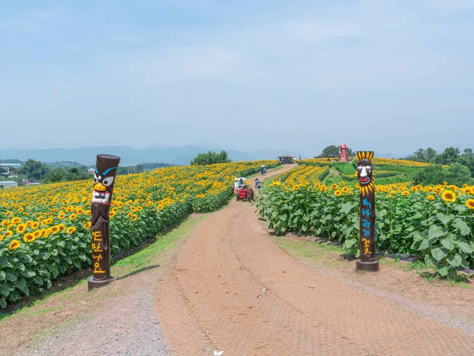 5-3_Type1_%EA%B0%95%EC%A3%BC_%ED%95%B4%EB%B0%94%EB%9D%BC%EA%B8%B0_%EB%A7%88%EC%9D%84_%EC%9D%B4%ED%99%98%EC%9A%B0_RwQmCM.jpg?type=w1