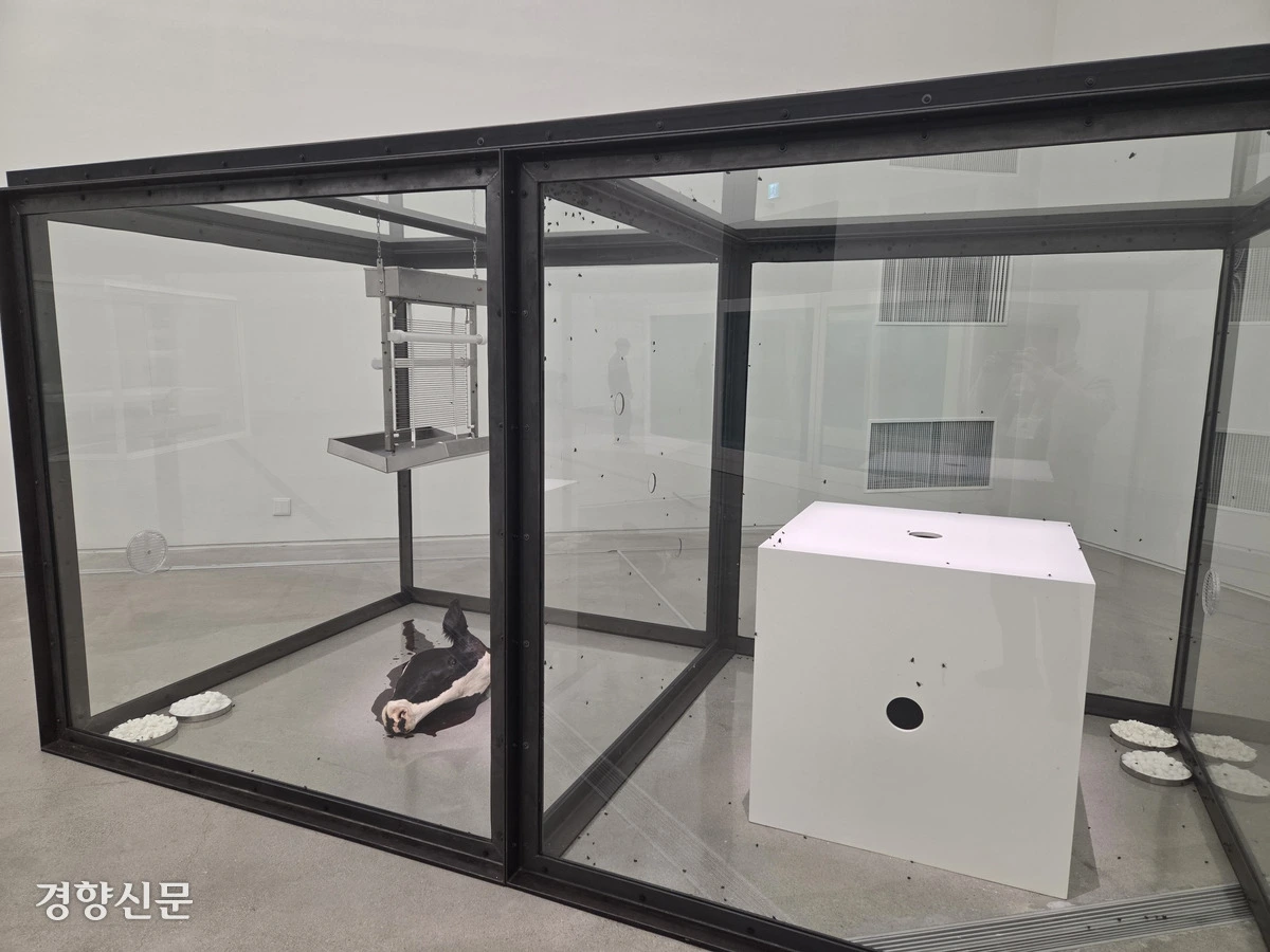 img.jpg?credential=yqXZFxpELC7KVnFOS48ylbz2pIh7yKj8&expires=1774969199&allow_ip=&allow_referer=&signature=oj0We5v45SDmksWIZM0yOj7WwRw%3D