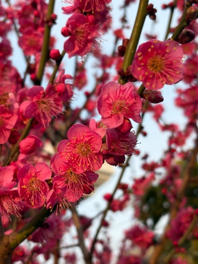 %ED%99%8D%EB%A7%A4%ED%99%94.jpg?type=w773