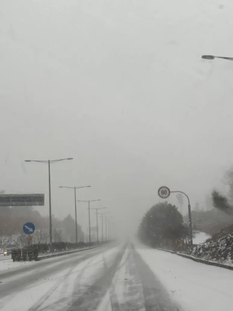 %EC%95%A0%EC%A1%B0%EB%A1%9C.jpg?type=w773