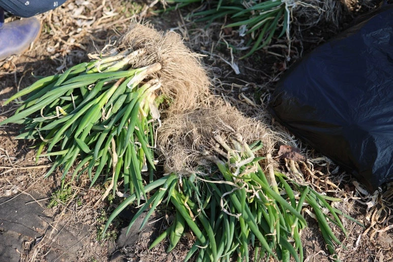 img.jpg?credential=yqXZFxpELC7KVnFOS48ylbz2pIh7yKj8&expires=1774969199&allow_ip=&allow_referer=&signature=lZp12qB0AYQ18ALVne33Qszun6Y%3D