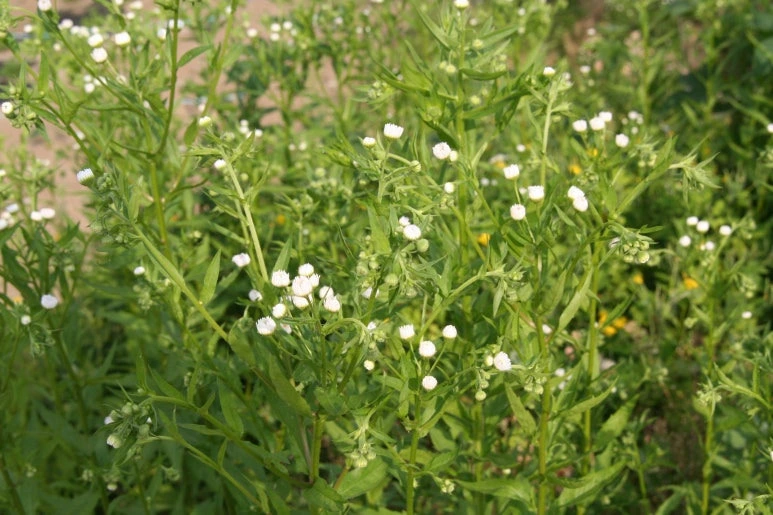 img.jpg?credential=yqXZFxpELC7KVnFOS48ylbz2pIh7yKj8&expires=1774969199&allow_ip=&allow_referer=&signature=5ALHltAcb9%2FVv8GZpHylzouPDGc%3D