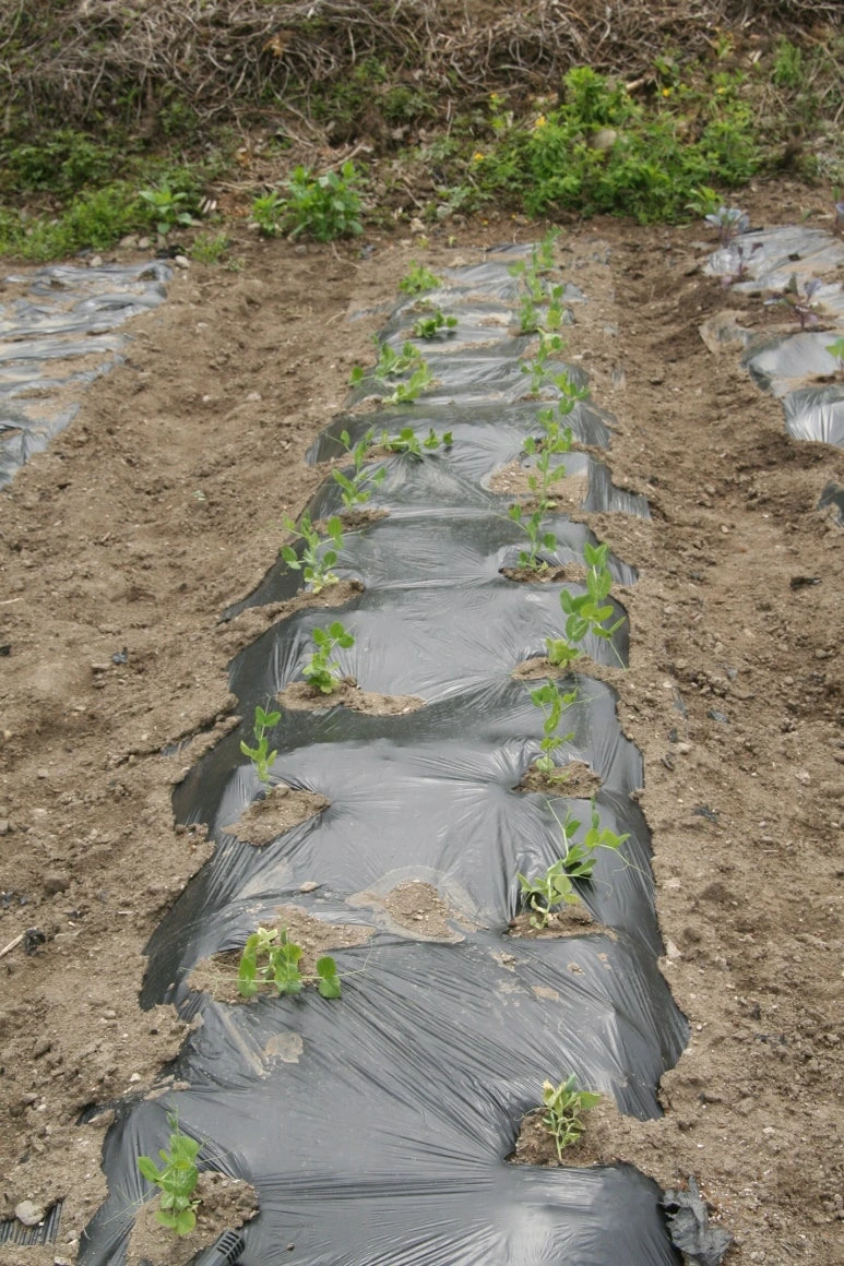 img.jpg?credential=yqXZFxpELC7KVnFOS48ylbz2pIh7yKj8&expires=1774969199&allow_ip=&allow_referer=&signature=nOvK8vjMV92p2UPIpeVWMdRZLDs%3D