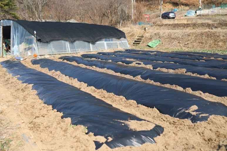 img.jpg?credential=yqXZFxpELC7KVnFOS48ylbz2pIh7yKj8&expires=1774969199&allow_ip=&allow_referer=&signature=j0GdqNyHjRJq6HXZKF4wifmBrqc%3D