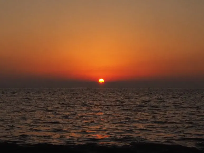 %EC%84%9C%ED%95%B4%EC%95%88_%EB%82%99%EC%A1%B0.JPG?type=w773