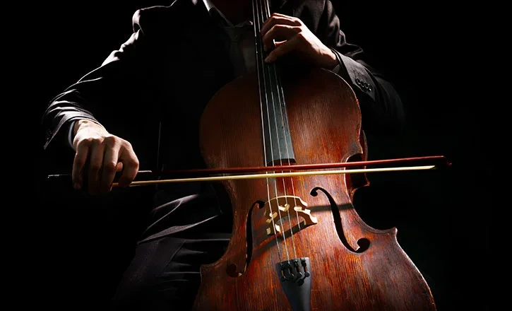 service_popular_25.jpg?webp=1