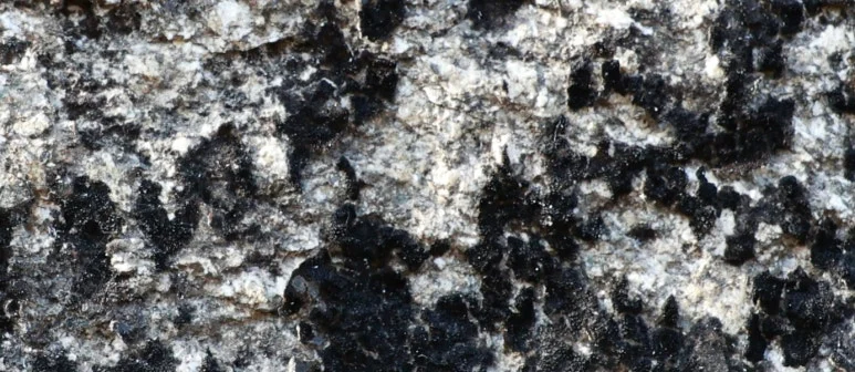 Cap_2026-03-02_11-16-29.jpg?type=w773