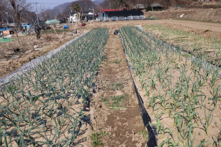 img.jpg?credential=yqXZFxpELC7KVnFOS48ylbz2pIh7yKj8&expires=1774969199&allow_ip=&allow_referer=&signature=sJkL4v%2BaEEcl3lkXslGI%2Fil8pGA%3D