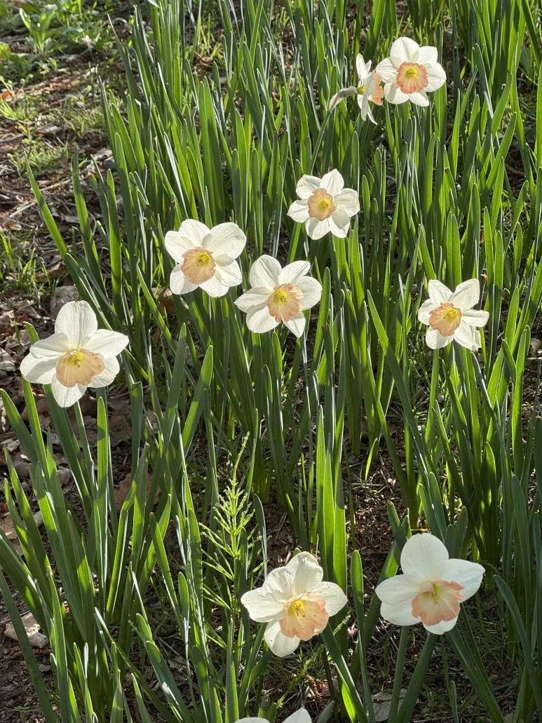 %EC%88%98%EC%84%A0%ED%99%941.jpg?type=w773