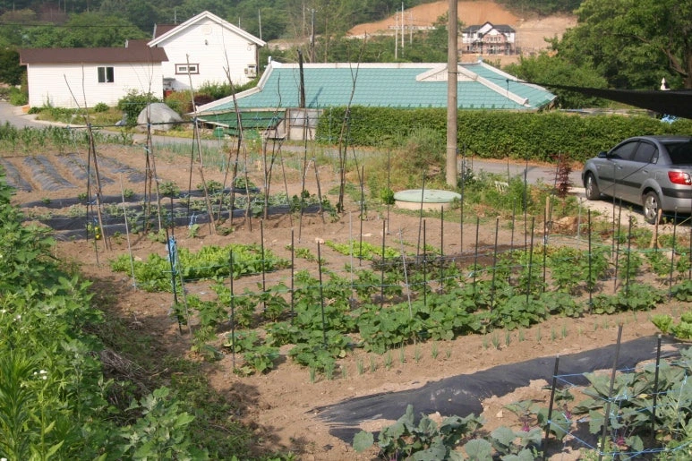 img.jpg?credential=yqXZFxpELC7KVnFOS48ylbz2pIh7yKj8&expires=1774969199&allow_ip=&allow_referer=&signature=Zug4n9NXdsGHf%2BcwxTWk0mHQShs%3D