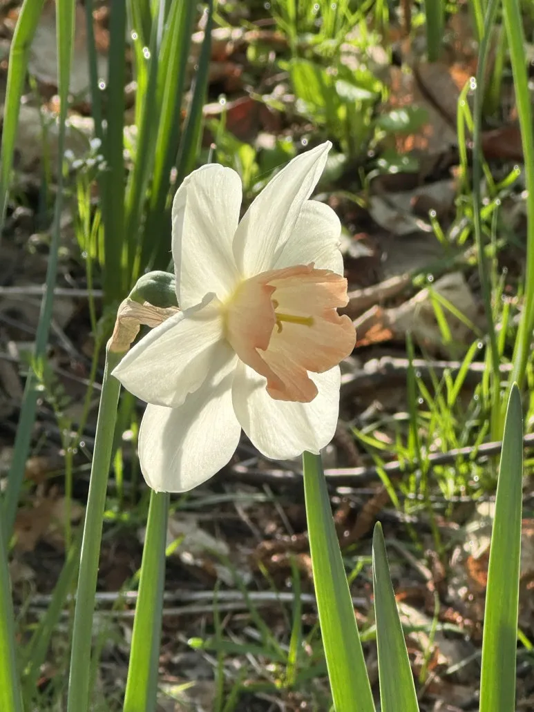 260419_%EC%88%98%EC%84%A0%ED%99%943.jpg?type=w773