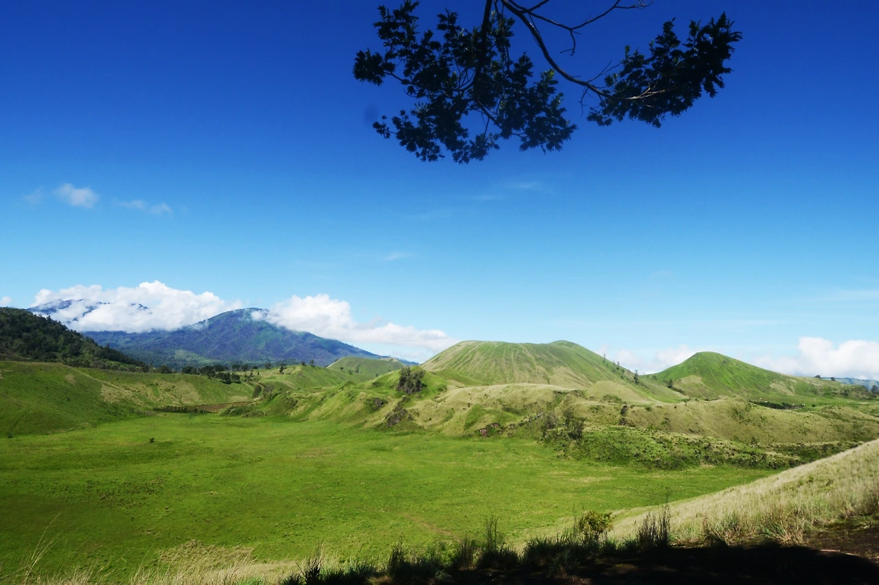 WhatsApp Image 2026-02-11 at 9.06.44 AM.jpeg