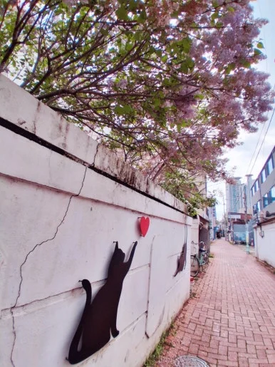 900%EF%BC%BF1775825195540.jpg?type=w386