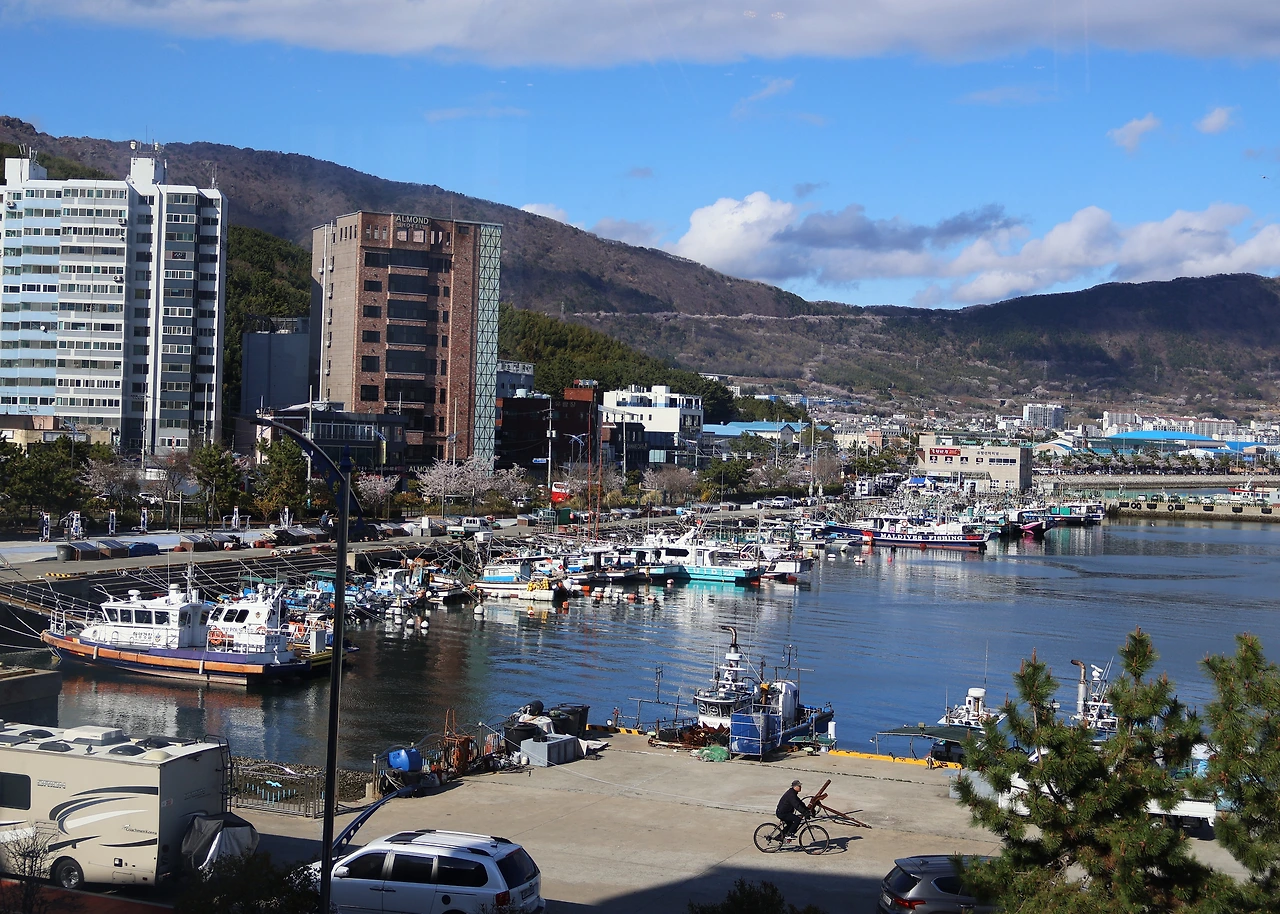 진해할리스 260404 (2).JPG