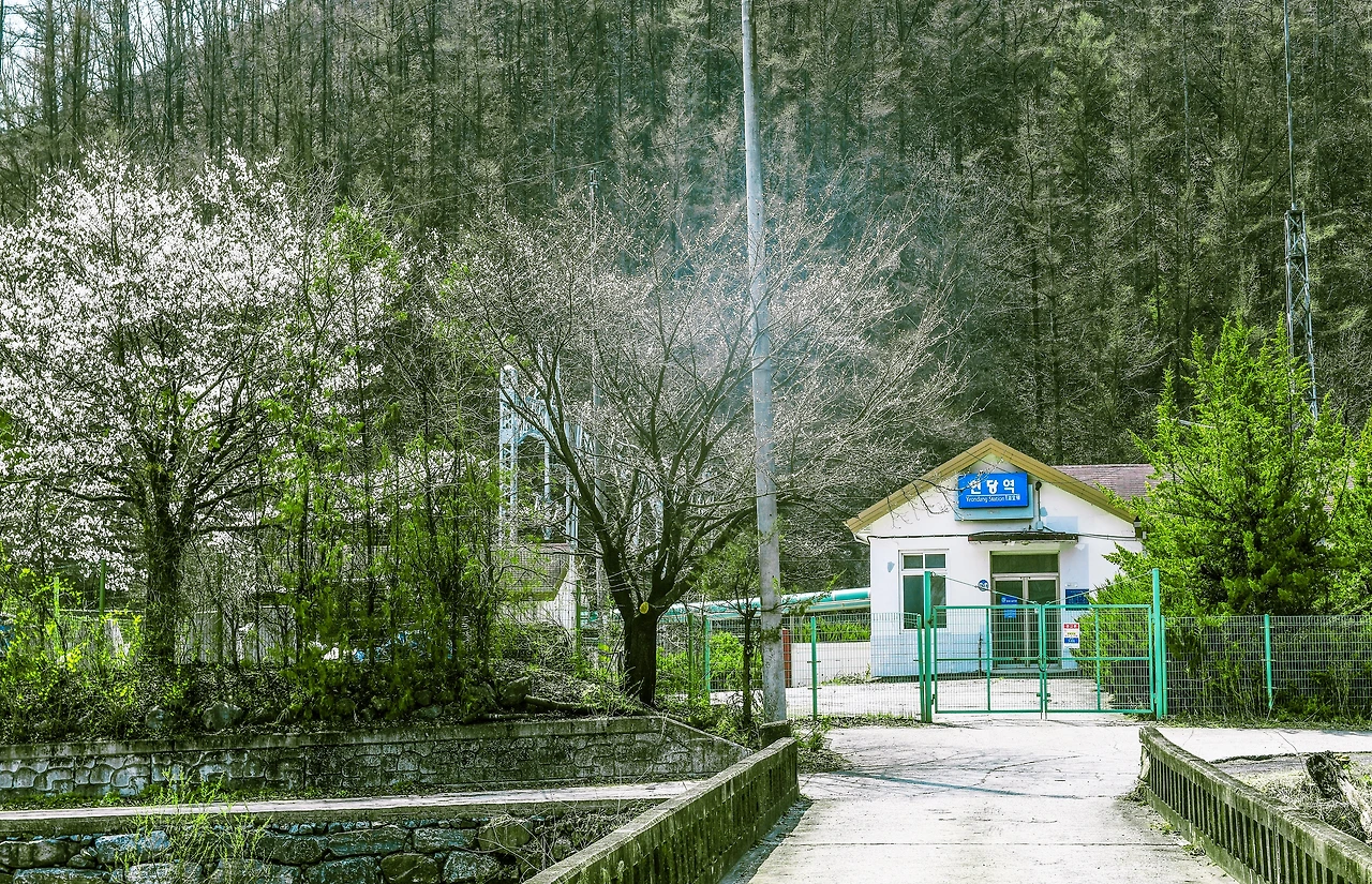 DSC_8853 - 복사본.JPG